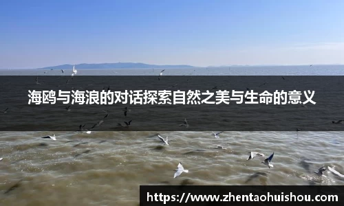 海鸥与海浪的对话探索自然之美与生命的意义